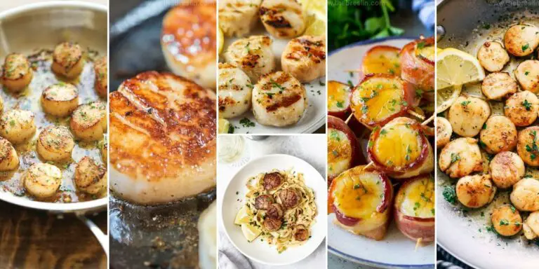 Best Scallop Recipes