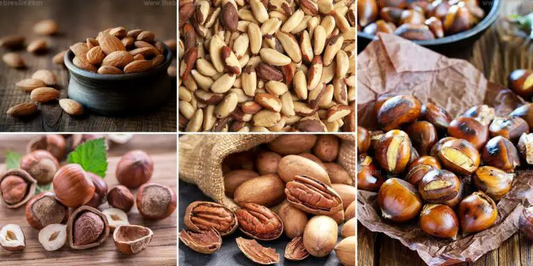 Top Types of Nuts