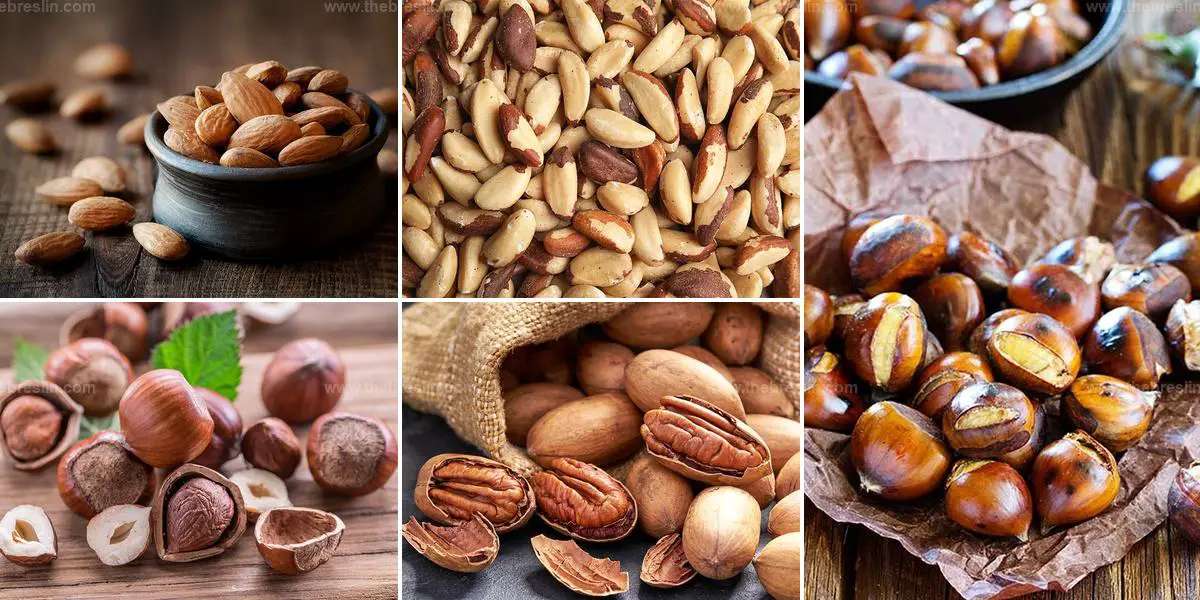 Top Types of Nuts