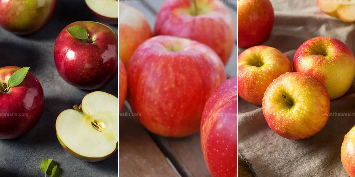 Best Types of Apples