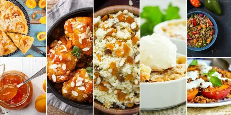 Best Apricot Recipes