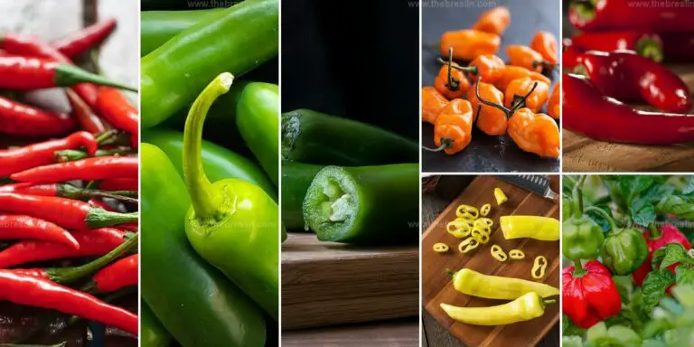 Best Types of Peppers