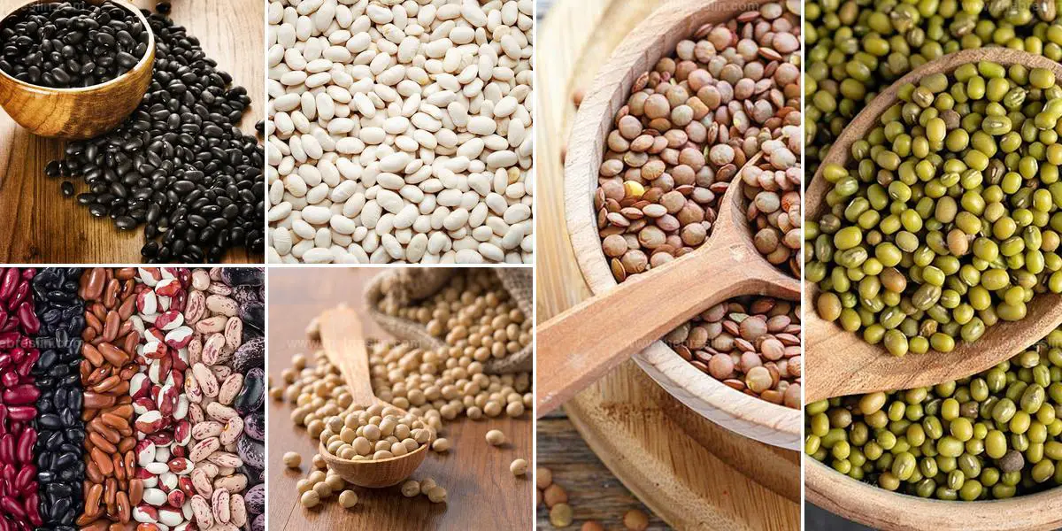 Best Types of Beans